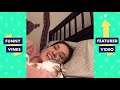 TRY NOT TO LAUGH - Cutest Pets & Funny Animals of The Week!