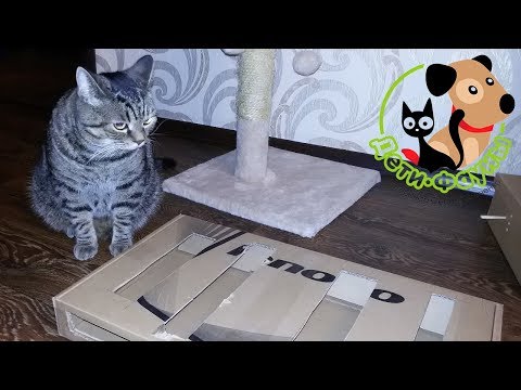 Игрушки для кота своими руками 91