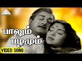 பாலும் பழமும் Video Song | Paalum Pazhamum Movie Songs | Sivaji Ganesan | Saroja Devi