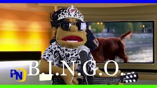 BINGO MUSIC ORIGINAL MUSIC VIDEO #children #childrensongs #dancekids #puppets #puppetshowforkids