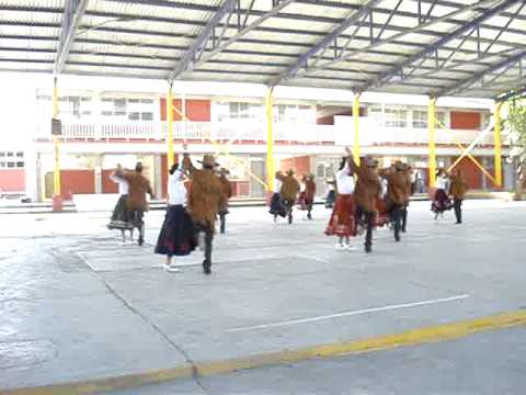 La metodología dikulya en el tratamiento de la columna vertebral