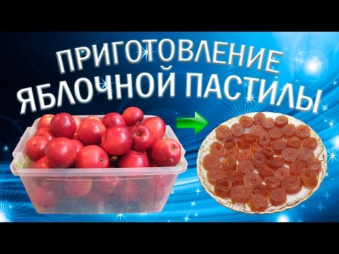 Обзор пароварки Braun FS 20 и приготовление ужина на пару - YouTube