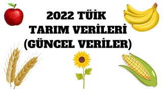 2023 KPSS TÜİK Tarım Verileri (Güncel Veriler)