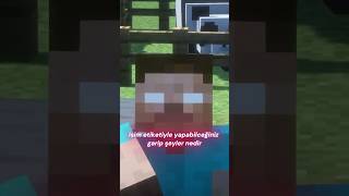 Minecraft İsi̇m Eti̇keti̇ Nasil Kullanilir?