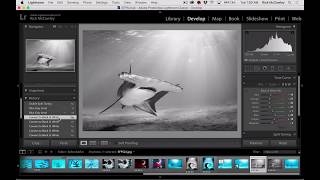 11BestColorToB&WConversion
