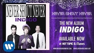 Watch Never Shout Never The Look video