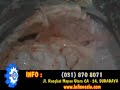 image Mesin Cetak Bakso Otomatis