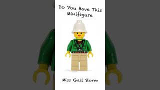 Do You Have This Minifigure Adventures Miss Gail Storm