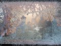 view My Fragile Winter Dream