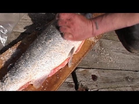 Так поморы солят сёмгу / Know how the local people of White sea area salt the salmon Так поморы солят сёмгу / Know how the local people of White sea area salt the salmon