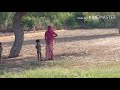 खेती री बांता देशी राजस्थानी वीडियो | मारवाड़ी किसान | farming in rajasthan | बाड़मेर जैसलमेर खेती