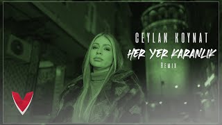 Ceylan Koynat - Her Yer Karanlık (Remix)