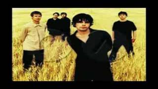 Video Feeling holy The Charlatans