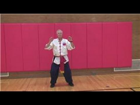 Yoga   Beginners  on Tai Chi 24 Combination Moves