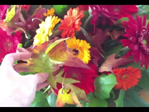 Posh Rehearsal Dinner Posh Rehearsal Dinner