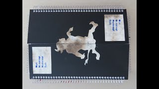 Man Minotaur Manotaur Bull