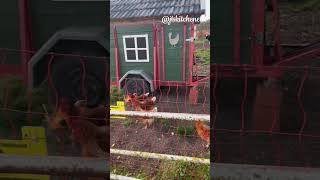 Country Side Lower Saxony Germany