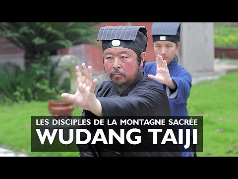 En terre martiale : Les disciples de la montagne sacrée Wudang Taiji
