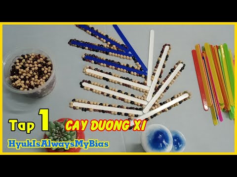 Cách sắp xếp bức tranh treo tường hình cây dương xỉ - HyukIsAlwaysMyBias