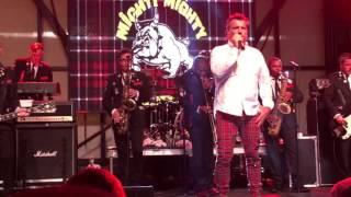 Watch Mighty Mighty Bosstones Another Drinkin Song video