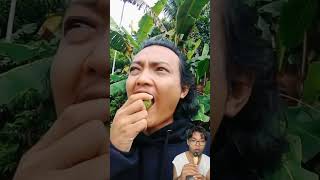 Makan Buah Kecubung Enak