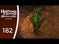 Dragons. Dragons everywhere! - Let's Play Baldur's Gate 2: Shadows of Amn #182