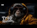 The Trap Nation 2024 - Playlist Trap Rap Hip Hop Party Music 2024 - Trap Night 2024