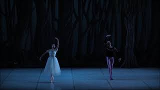 Yanela Piñera & Dani Hernández - Giselle Act Ii