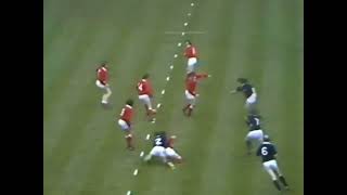 -o3uwf7JUUo Video Image