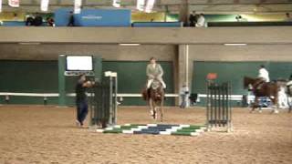 Ludger Beerbaum Dfever