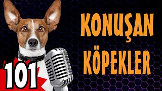 Komik Köpek ları - Konuşan Köpekler 101