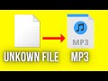 How To Convert Unkown Audio Files To MP3
