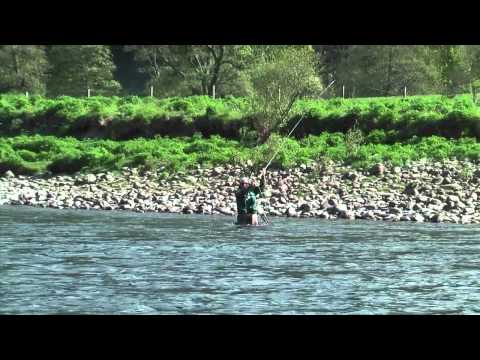 Spring Salmon Fishing on the Newtyle Beat of the River Tay -...