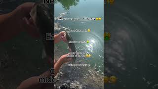 Pls Sub