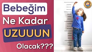 Bebeğimin Boyu Kaç Cm Olacak Erişkin Boy Hesaplama Yöntemleri