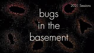 Bugs In The Basement - Clastoptera Xanthocephala aka The Sunflower Spittlebug