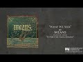 What We Seek Video preview