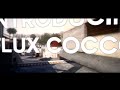 Introducing FLuX Cocco: Cocco Goes Loco - Episode 1