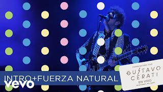 Gustavo Cerati - Fuerza Natural