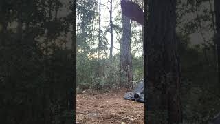 Doing Gymnastics Near Our House