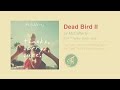 Dead Bird II Video preview