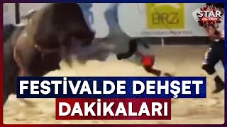 Kovboy Festivalinde Boğa Dehşeti Star Ana Haber