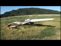 Sailplanes