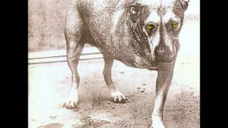 Alice In Chains - Alice In Chains ( Album)