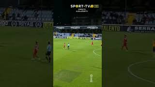 -qjvx8JlMCs Video Image