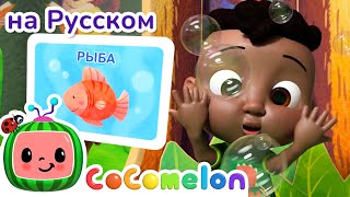 Угадай Животное - Новая Серия🍉 | Cocomelon На Русском — Детские Песенки