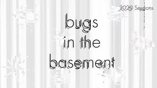 Bugs In The Basement - Baris Strenua aka The Sunflower Root Weevil