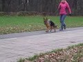 Движения. Готовится к выставке.