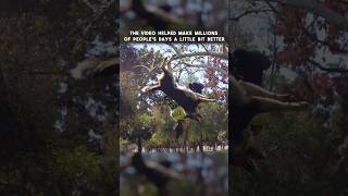 Jumpy The Dog Backflips
