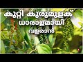കുറ്റി കുരുമുളക് കൃഷി | kutti kurumulaku nadunna reethi | pepper cultivation malayalam | Prs krishi